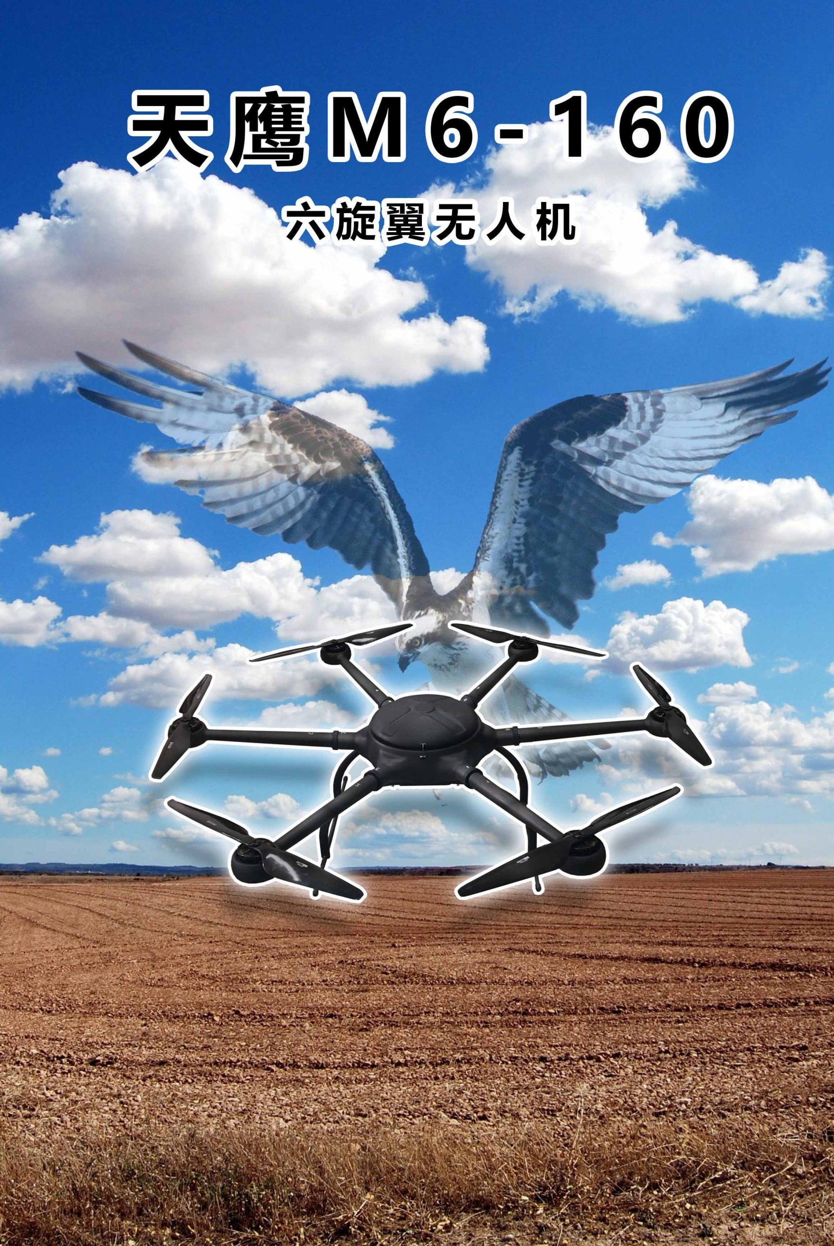 產品詳情